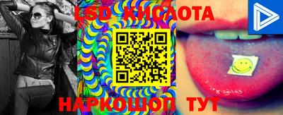 apvp Краснодар
